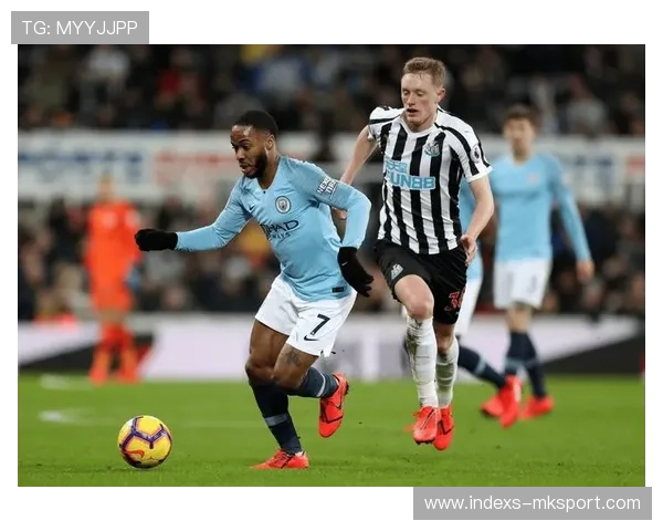 纽卡斯尔整体协同 纽卡斯尔整体协同